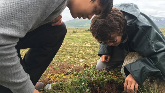 Two kids looking down into a small hole with grass all around them.