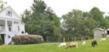 Carl Sandburg Home and Barn