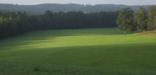 A View of the Horseshoe Bend Battlefield.