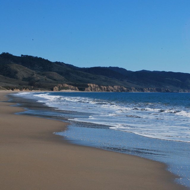 Waves wash in from the right onto a sandy beach. A forested ridge rises in the distance.