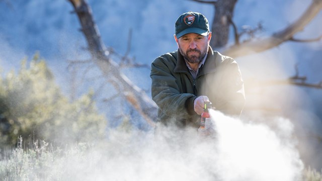 a park ranger spraying bear spray