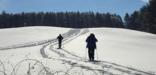 Winter Cross-Country Skiing in the Park