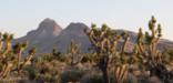 View of Hart Peak in Castle Mountains