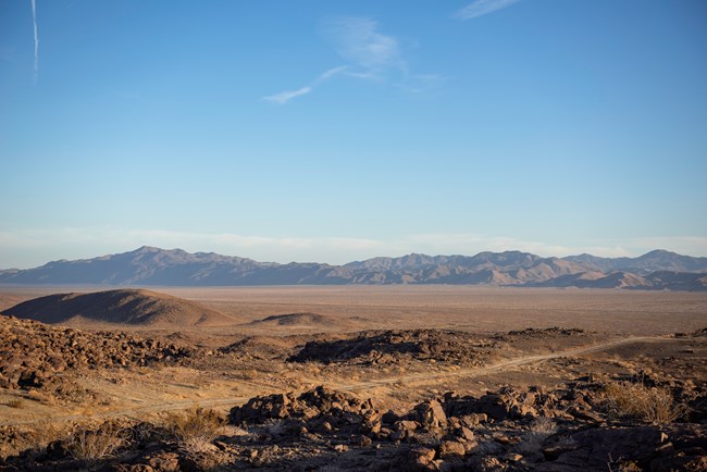 The sun sets over the Pinto Basin casting the desert landscape and a winding dirt road in hues of gold.