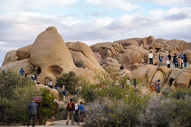 a boulder shaped like a skull with visitors standing around it