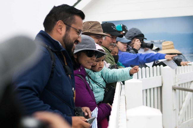 A group of park visitors standing over a white picket fence pointing at the ocean.