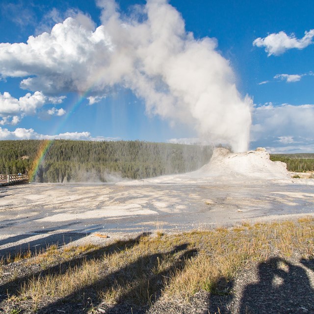 A crowd of people watching an eruption of Castle Geyser