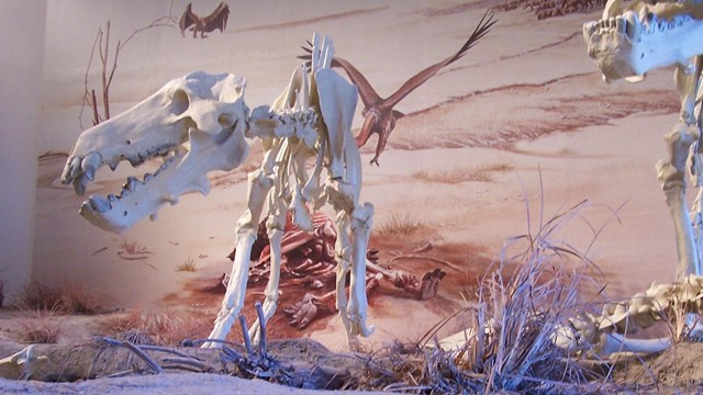 Large fossilized creatures tower overhead inside the visitor center