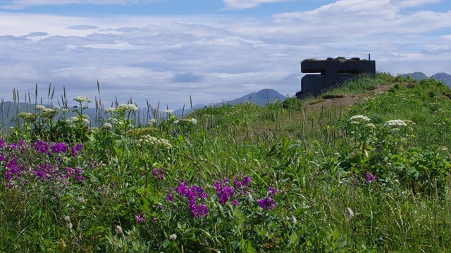 a cement historic structure stands amid flowers on a hilly mountainside.