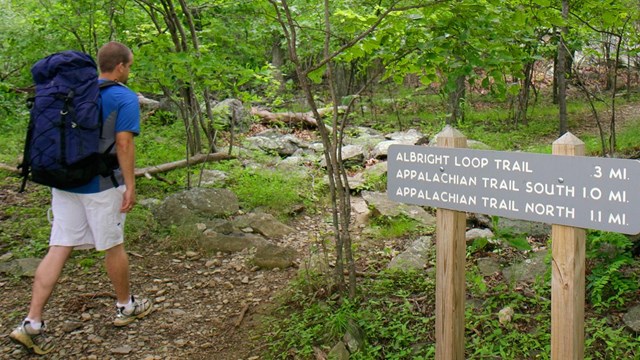 A hiker with a backpack heads into the forest on a trail