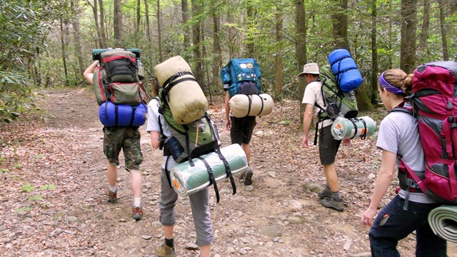 backpackers hiking in the woods