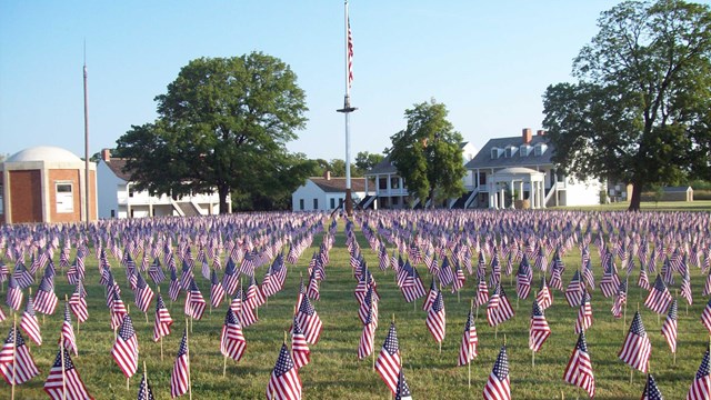 A view of the parade ground with over 8,000 flags.