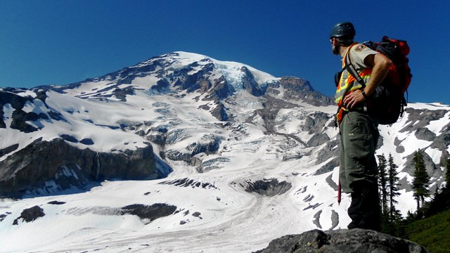 Mount Rainier National Park 