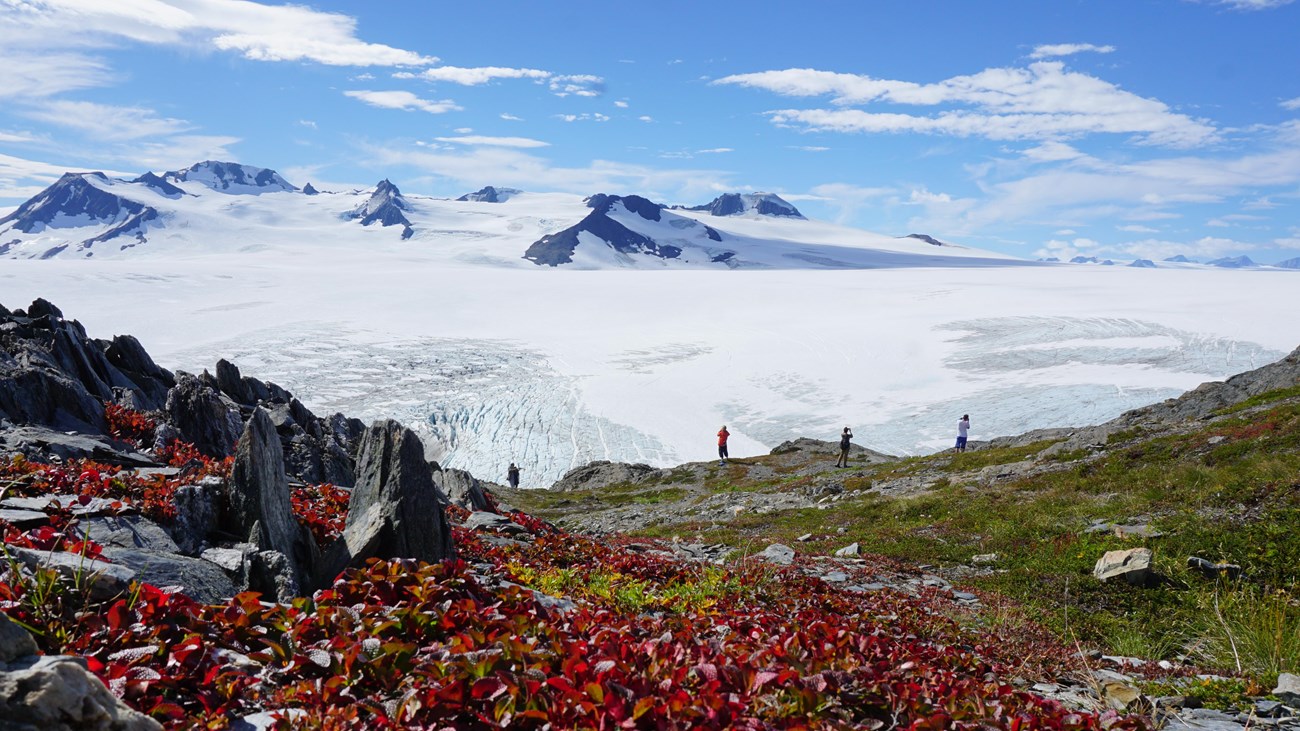 Hikers take in mountains rising from glacial ice. In the foreground, bearberry turns a brilliant red