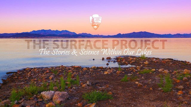 The Surface Project