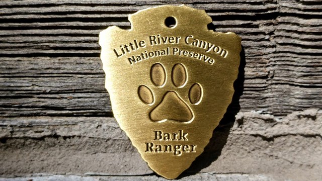 Earn Your Dog a BARK Ranger Dog Tag