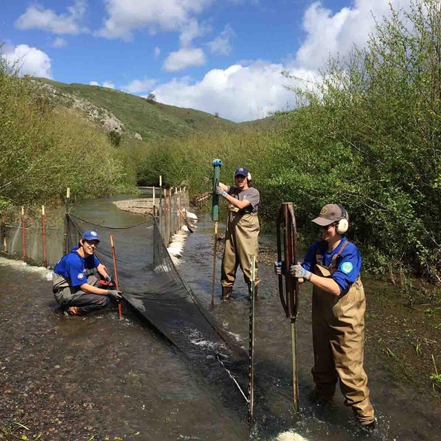 Three researchers collect data in a stream.