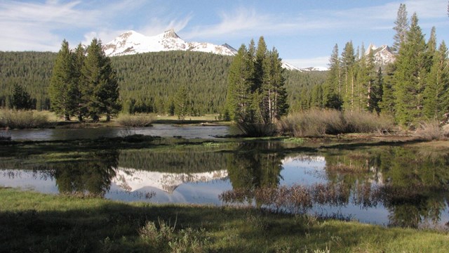 River and reflection 