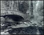 Yosemite Creek Bridge, Yosemite National Park.