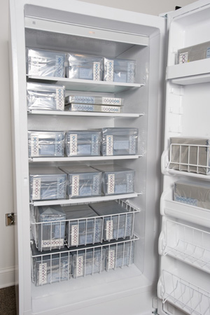 This image shows an example of a Packed Freezer