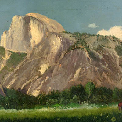 Half Dome and Meadow