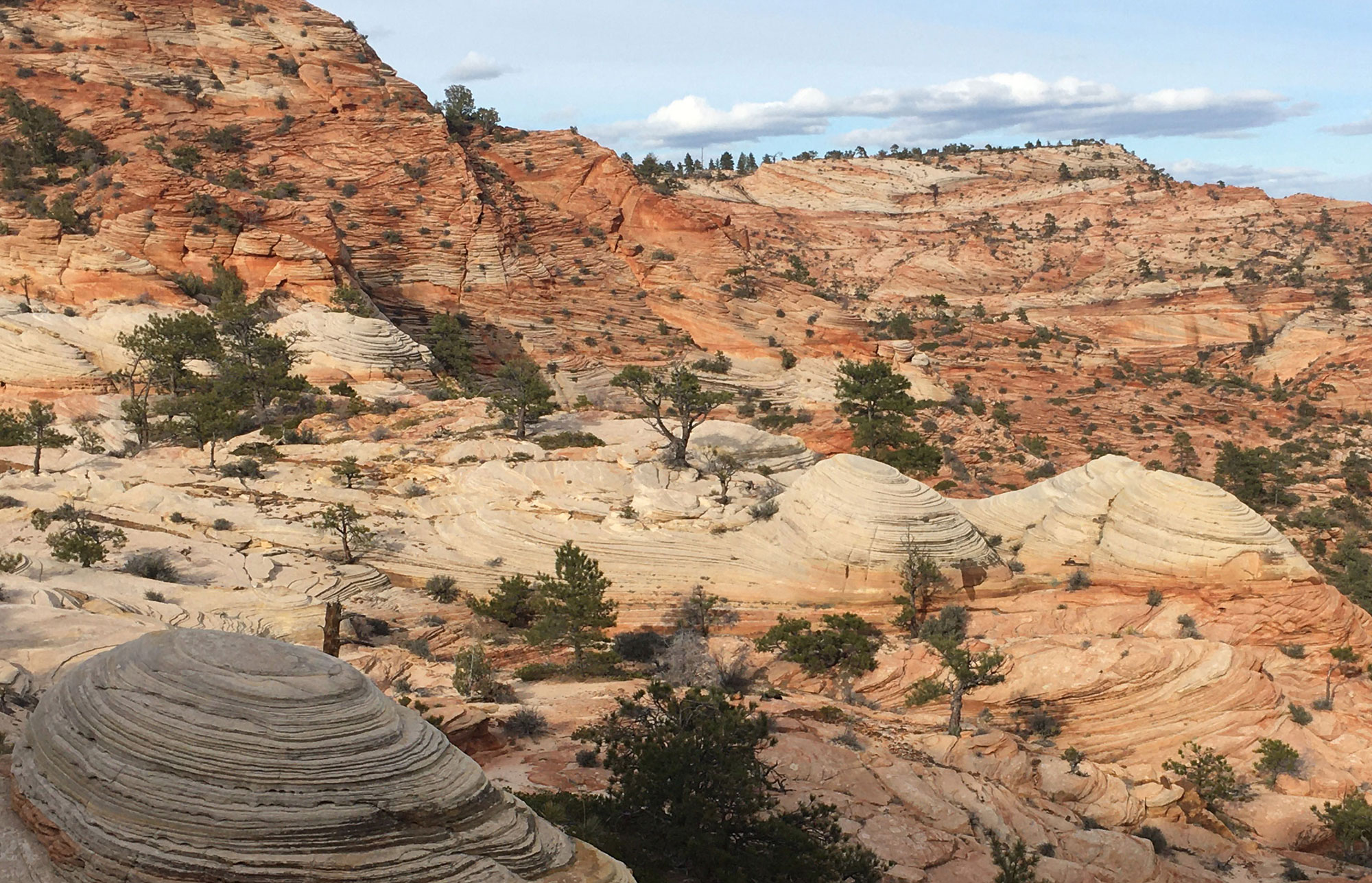 Zion Nationa Park East Side Wilderness