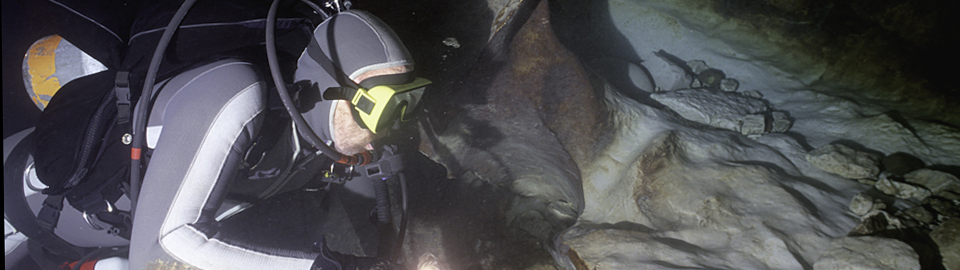 Diver at the entrance of Goodenough Springs