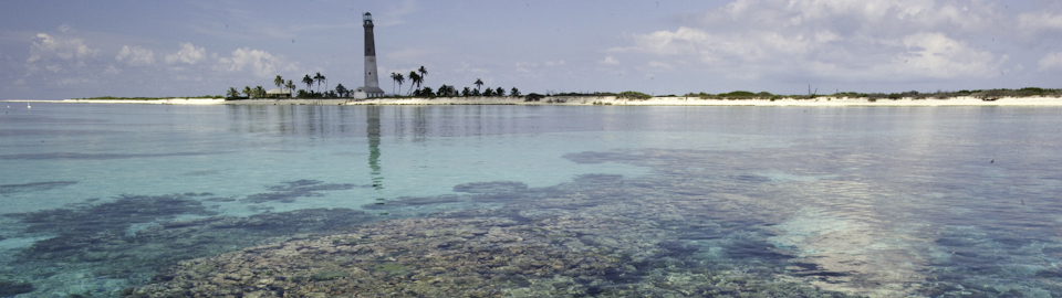 Coral reefs with Loggerhead Key lighthouse