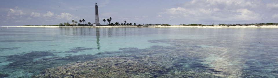 Coral reefs with Loggerhead Key lighthouse