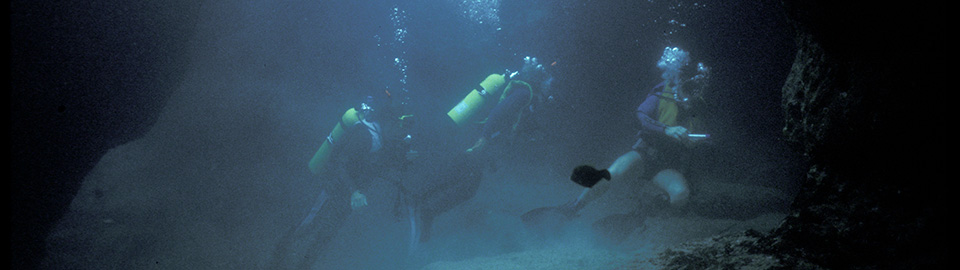 Vintage images of Diving at Pu'uhonua o Honaunau