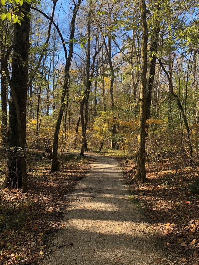A graveled trail through woods located on the Sinking Spring Farm