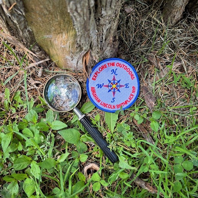 Magnifying glass and patch on the ground at the base of a tree.