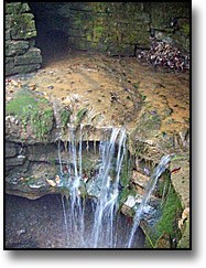 A view of Sinking Spring. The water source for the Lincoln Family during their time on the birthplace farm. A view of Sinking Spring. The water source for the Lincoln Family during their time on the birthplace farm.