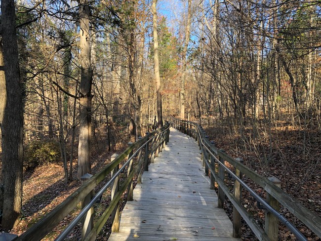 Accessible Pathway of a President