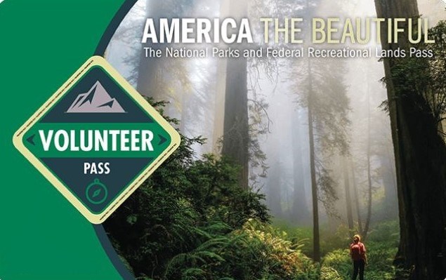 Volunteer Pass