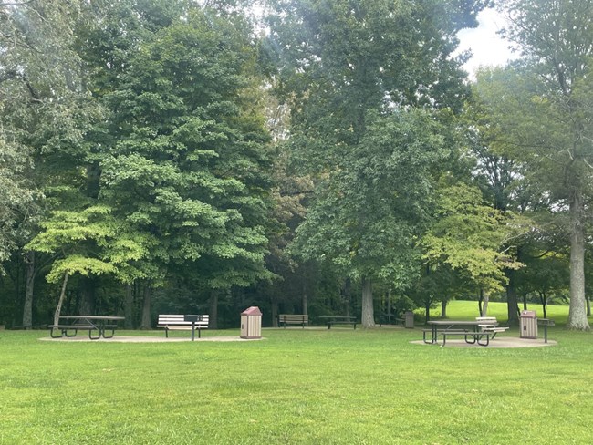 picnic area - grass and tables