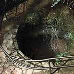 Sinking Spring Sinking Spring