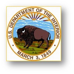 DOI logo DOI logo