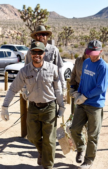 Trail Maintenance at Joshua Tree NP NPS employees and SCA intern carrying granite block