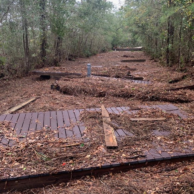 a tree-lined road is covered over with fallen trees, leaves, and pieces of decking