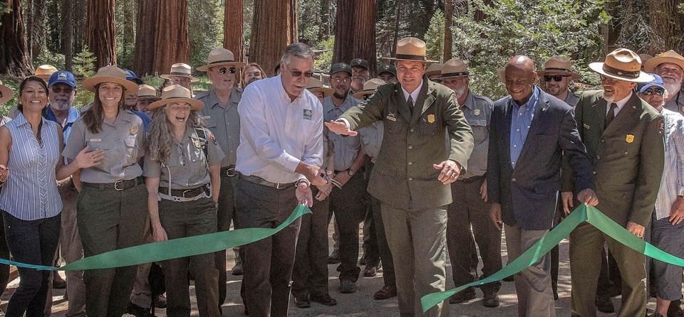 Yosemite National Park and Yosemite Conservancy officials cut the ribbon to dedicate the Mariposa Grove of Giant Sequoias Restoration Project. NPS uniformed rangers and partners cutting a large green ribbon in front of large trees