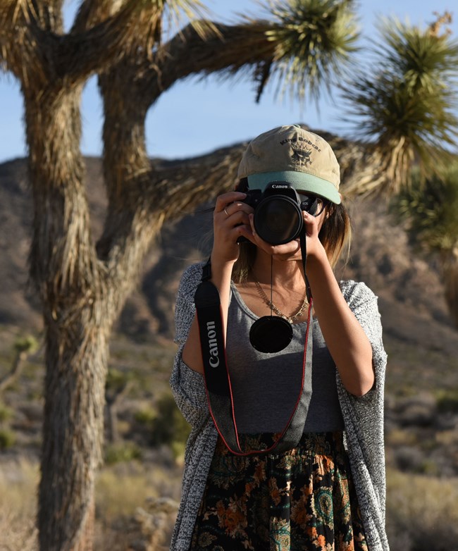 Photographer Among Joshua Trees a photographer standing in front of joshua trees holds a camera to her eye