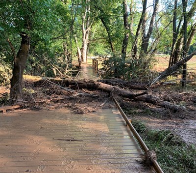 a wooden boardwalk along a treeline is covered with mud and a downed tree and tree limbs