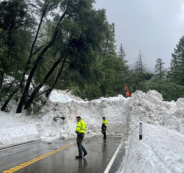 two people walking near a wall of snow blocking a roadway surrounded by tall evergreen trees