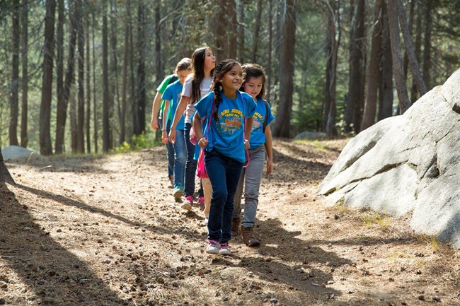 YOSE Girl Scouts A group of young girls are walking on a trail through trees in Yosemite National Park
