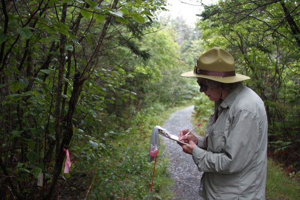 Citizen Science-The Bug Lady On the left a woman stands holding a clipboard and writing something down, while facing a tree that has a tag on it, on the right side of the screen.