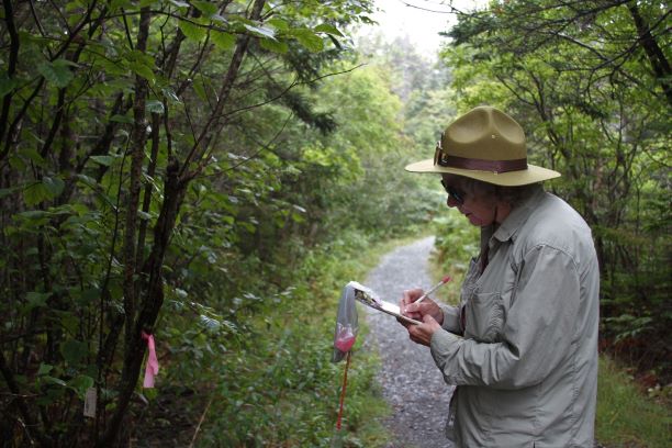 On the left a woman stands holding a clipboard and writing something down, while facing a tree that has a tag on it, on the right side of the screen.