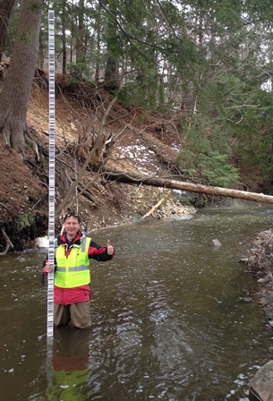 A man standing in a murky stream holds a tall measuring stick in the water and is giving a thumbs up. Tall trees are on the banks of the left stream and gravel can be seen to the far right in the photo.