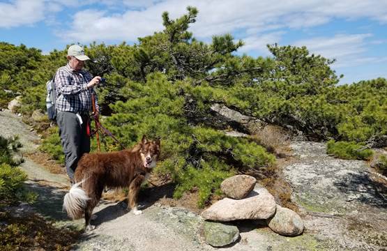 A man holding a dog on a leash stands next to a pile of arranged rocks on an exposed ledge. There are sweeping views behind him with forest and a pond below.