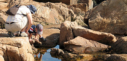 Woman and child look into a tidepool.